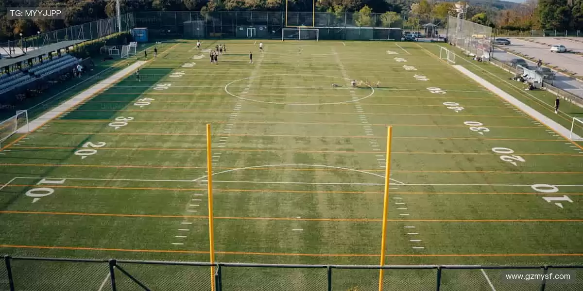 ⚽激情永不落幕，赛事官网带你感受纯粹的竞技魅力！